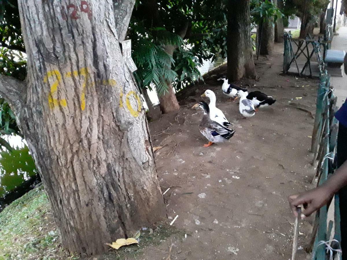 New Отель 2*
